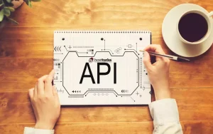Api nedir?